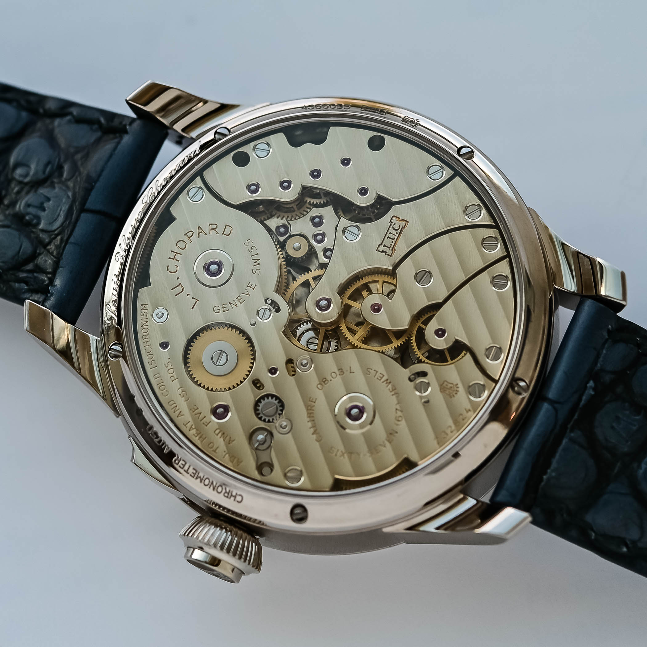 Everything About Movement Decorations - Royal Watch Pk