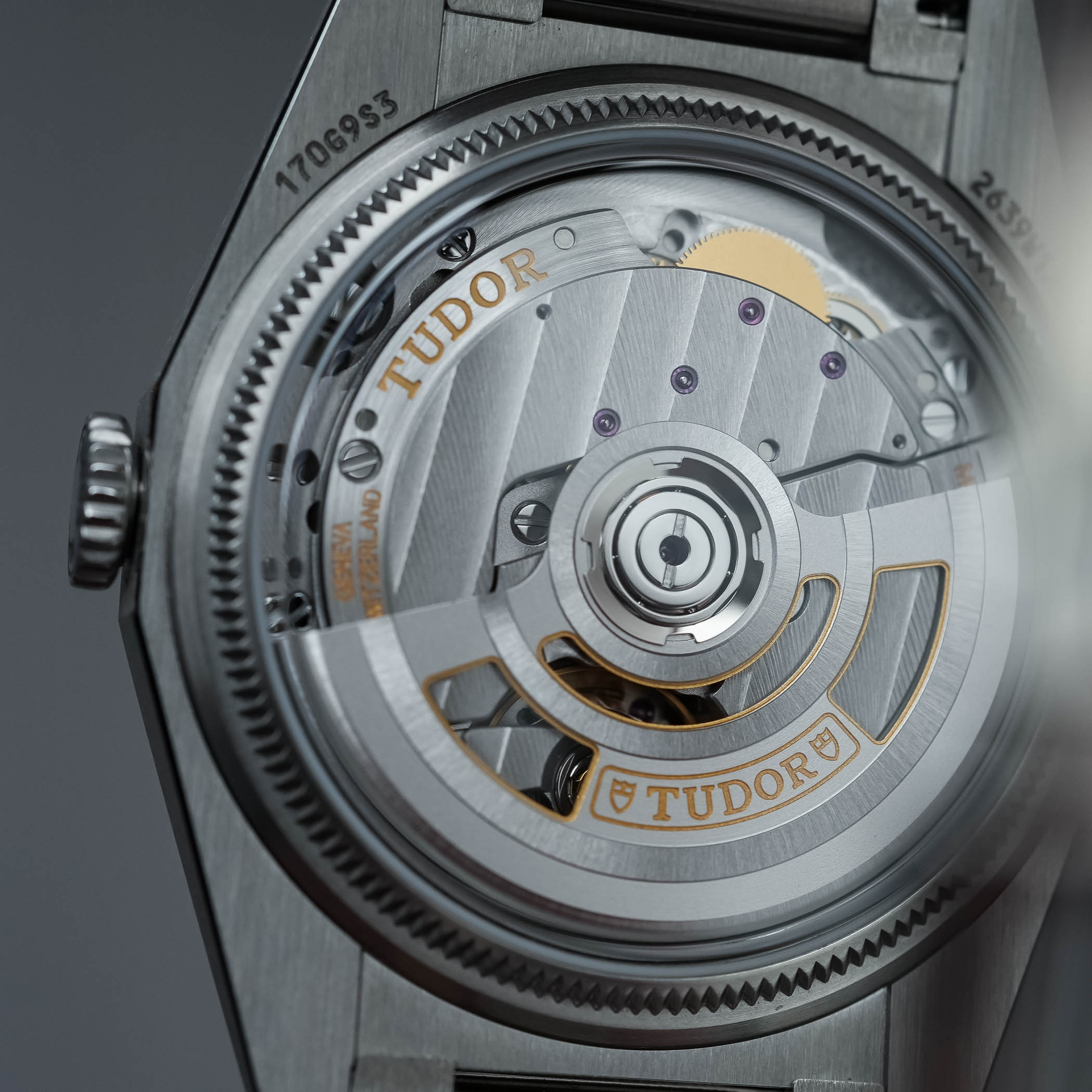 The Tudor Monarch, An Unexpected Yet Successful Return The Tudor Monarch, An Unexpected Yet Successful Return - Royal Watch Pk